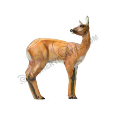SRT Roe Deer VSE Female
